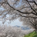 삼문강변로 이미지