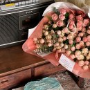 소롱코지 이미지