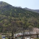 진상골 이미지