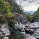 별빛 펜션 이미지