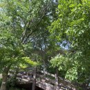 덕음정 | [전북 남원] 남원의 숨은 명소 '덕음산 솔향 산림욕장' 다녀온 후기: )