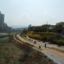 신천 이미지