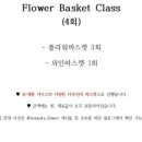 소네츠