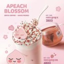 블러썸커피