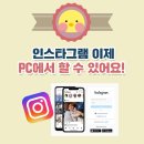 삐약이PC 이미지