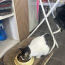 향동손세차장 이미지