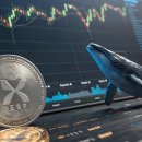 하이고래 이미지