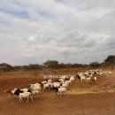 두두전기·조명 | [2025 케냐 여행] 암보셀리 소파 롯지(Amboseli Sopa Lodge) 숙박 후기