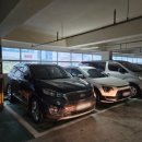 부경초장 이미지