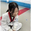 밝은 태권도 도장 이미지