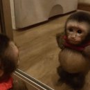 에디스여성병원 이미지