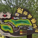 백화농장 | 월류봉 2코스 산책 후기 5 월에 걷기 좋은 길 완정교에서 백화마을까지