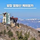 대인카프라자 | 발왕산케이블카 카페 운행시간 예약 할인 주차 평창 가볼만한곳