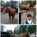 강민농장 이미지