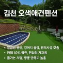 편의점앞 | 김천 오색 애견펜션 강아지 수영장 바베큐 편의점 바로 앞 카페 할인 후기 애견 동반 숙소 국내 여행