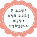 최상의 분위기와 환상적인 맛 삼척 맛집 삼척대게왕 방문 후기