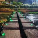 통복천 | 평택 통복천 벚꽃 야경 후기, 밤에 다녀오니 더 예뻤던 봄 산책 코스