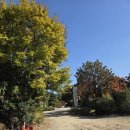 부산광역시 금정구 노포 경로당 이미지