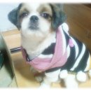 볼트형아