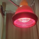 영진정형외과의원 이미지