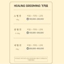 힐링그루밍 이미지