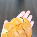 냠냠리뷰 - KBO빵 두 번째 ll 삼립 신상 베어스 곰발바닥 꿀빵 내돈내산 후기