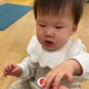 딩동댕 플레이 키즈스쿨(8~14개월) 이미지