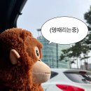 스테프온리