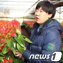 청포농원 이미지