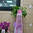 행운꽃화원 이미지