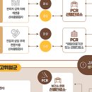 천하 태권도 이미지