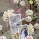 아키스트로 이미지