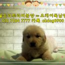 오케이주점