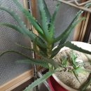 영팔농장 이미지