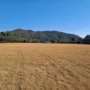 현충원로1 이미지