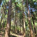 돗오름 주차장 이미지