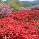 무주읍102 이미지