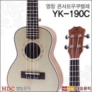 영창 - 강남구 | 영창