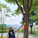 안성자연유치원 이미지