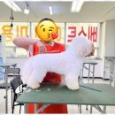 베스트의정부애견미용학원
