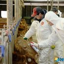 삼화축사 이미지