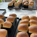 수안사 | 직장인 봉사후기 :: 미아역 부근 수안사 자비애빵 제빵봉사🍞(식빵, 단팥빵 만들기(◜o◝)︎︎︎✌︎)