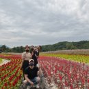 수류화개원 | 철원 고석정 꽃밭 가족여행 그리고 가평펜션 수류화개원