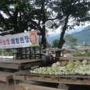 샘밭 농장 이미지