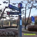 수원-0099 Daum카페