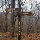 용인죽전1동우체국 이미지