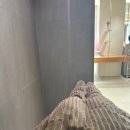 효자동미용실 아이디헤어포항점 머리잘하는 세인쌤 후기