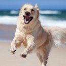 연두동물병원 이미지