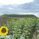 연천 호로고루 이미지