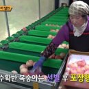 에덴농장 이미지